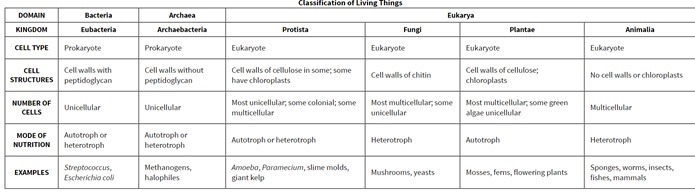 26. Look at Figure 18-5. Determine which is the only Kingdom which includes organisms-example-1