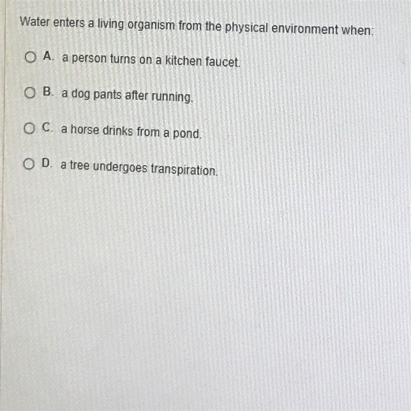 Water enters a living organism from the physical environment when-example-1