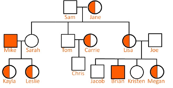 Pedigrees help geneticists understand how traits are inherited between generations-example-1