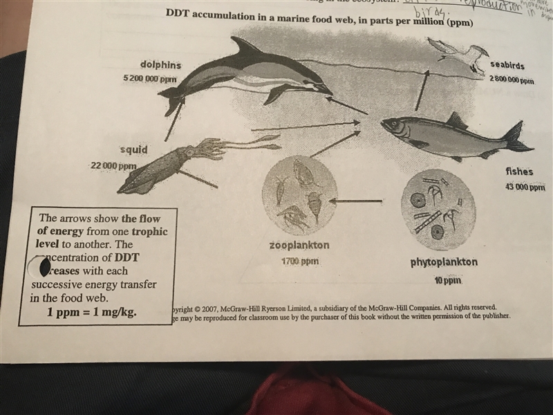 100 points!!! Draw a NUMBERS pyramid based on this marine food web. Label number value-example-1