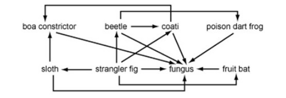 Which organism in the food web below is likely to store the most energy? A. Strangler-example-1