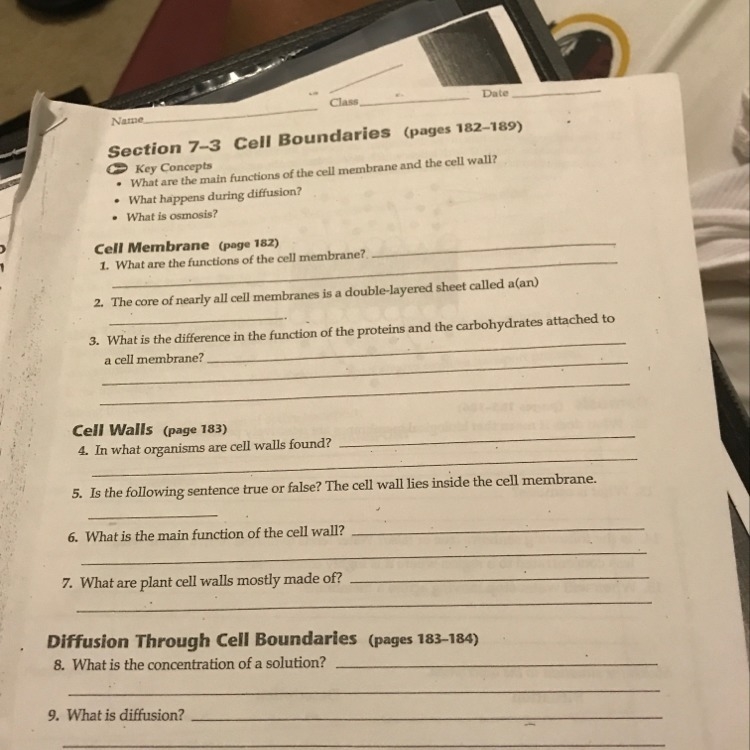 What are the functions of the cell membranes-example-1