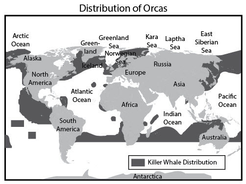 The illustration shows the worldwide distribution of killer whales, or orcas. The-example-1