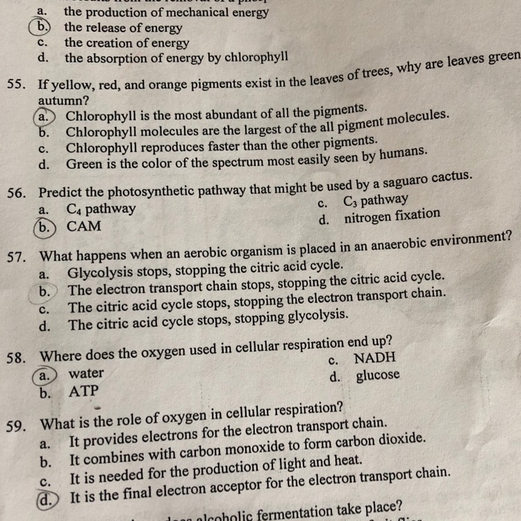 Hiya I️ could use some help on #57 please :))-example-1