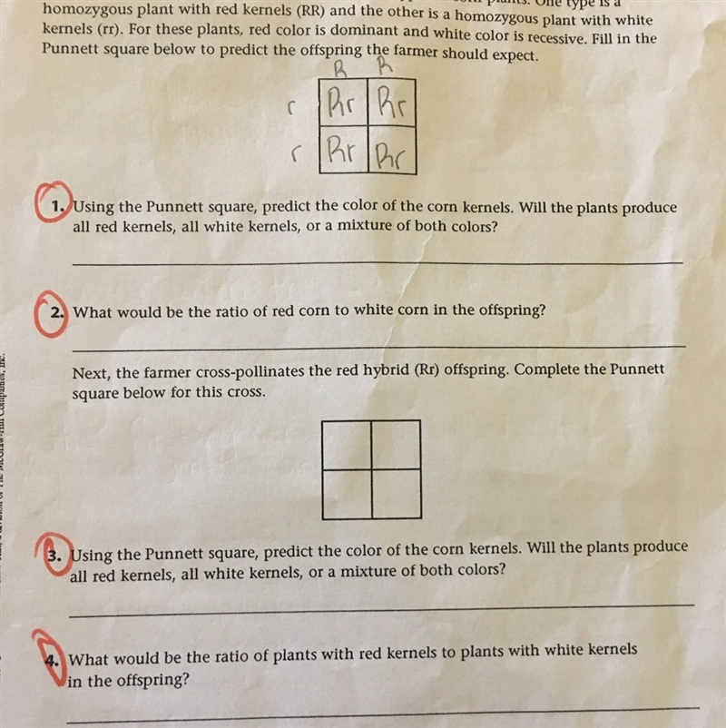 Need help with this please-example-1