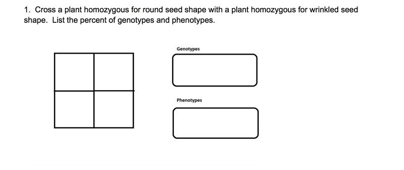 Cross a plant homozygous for round seed shape with a plant homozygous for wrinkled-example-1