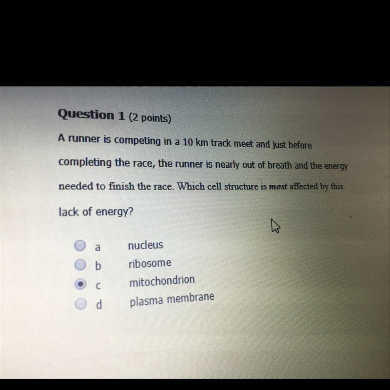 Which cell structure is most affected by this lack of energy-example-1