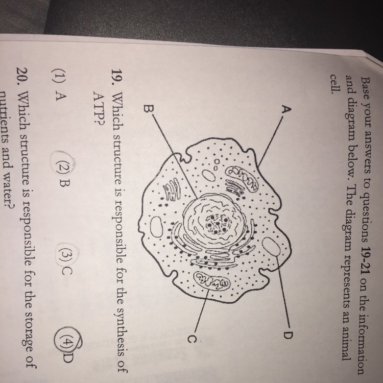 What is the correct answer ? Please answer this !!-example-1