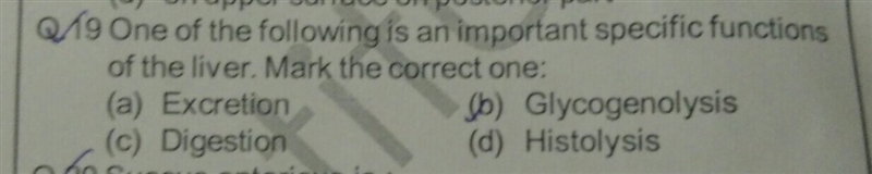 Please tell me the answer-example-1