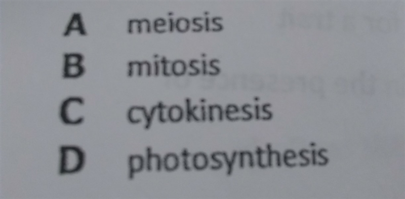 In what process does a cell nucleus divide forming two nuclei with identical genetic-example-1