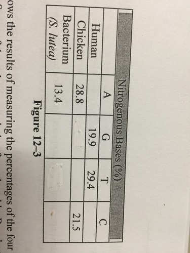 Based on Chargaff's rule, the percentage of cytosine in the DNA of the bacterium S-example-1