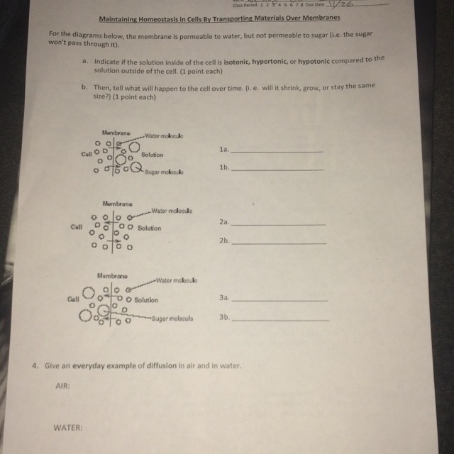 A.) indicate if the solution inside of the cell is isotonic, hypertonic, or hypotonic-example-1