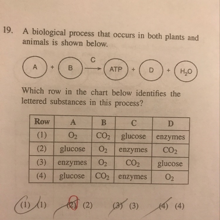 Why is 2 the correct answer???!!! I’m horrible at science. HELP ASAP!!!!!-example-1