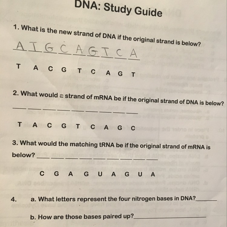 What would a strand of mRNA be if the original strand of DNA is below-example-1