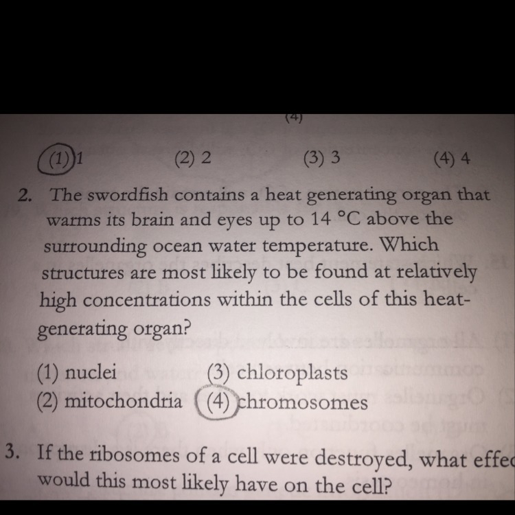 Which is the correct answer for 2 ? Explain why please !!-example-1