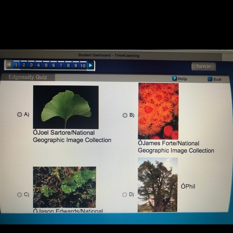 Which organism does not undergo photosynthesis?-example-1