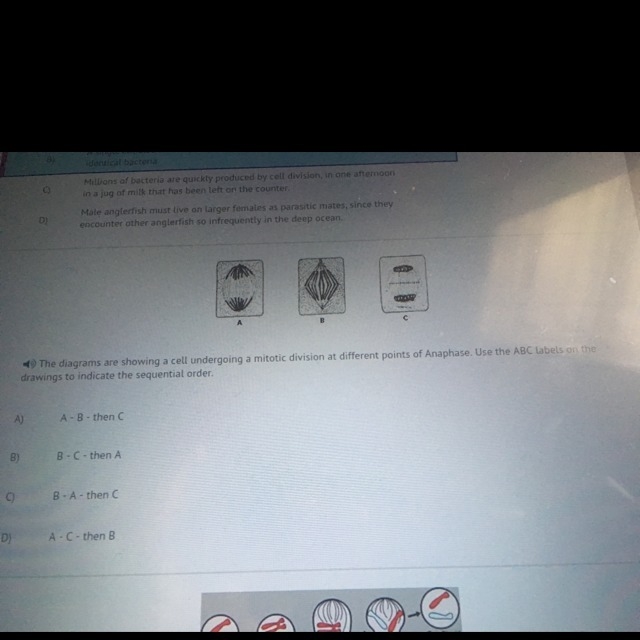 The diagrams are showing a cell undergoing a mitotic division at different point of-example-1