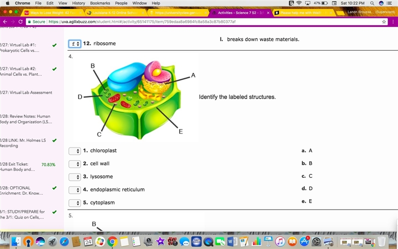 PLease help me with this!!-example-1