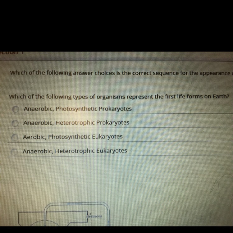 Which of the following types of organism represents the first life form on earth?-example-1