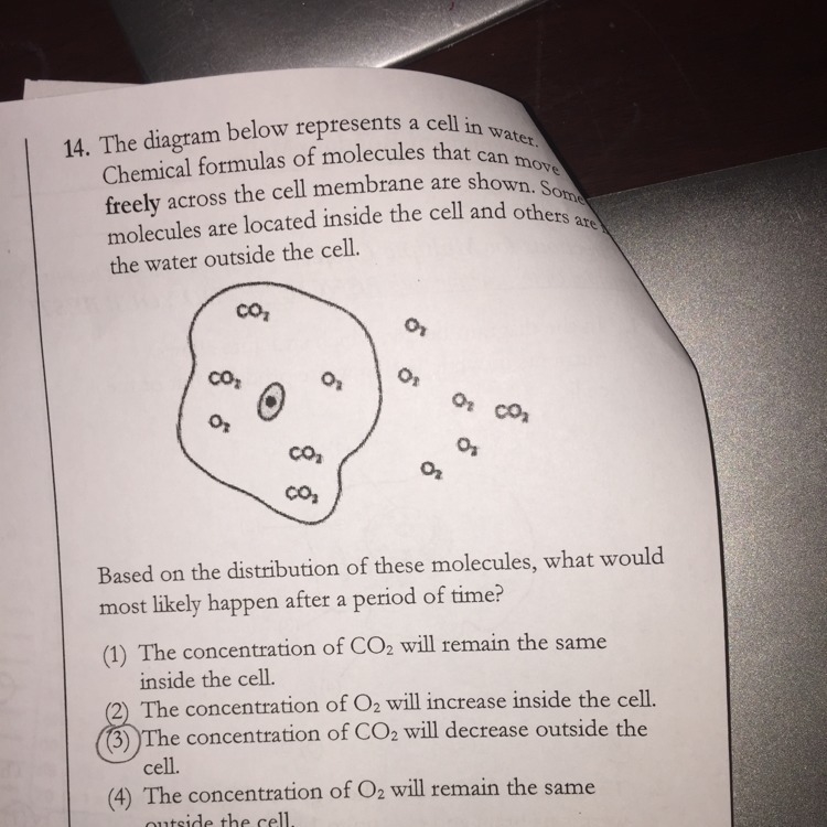 What is the correct answer for number 14 ? Explain why please !!-example-1