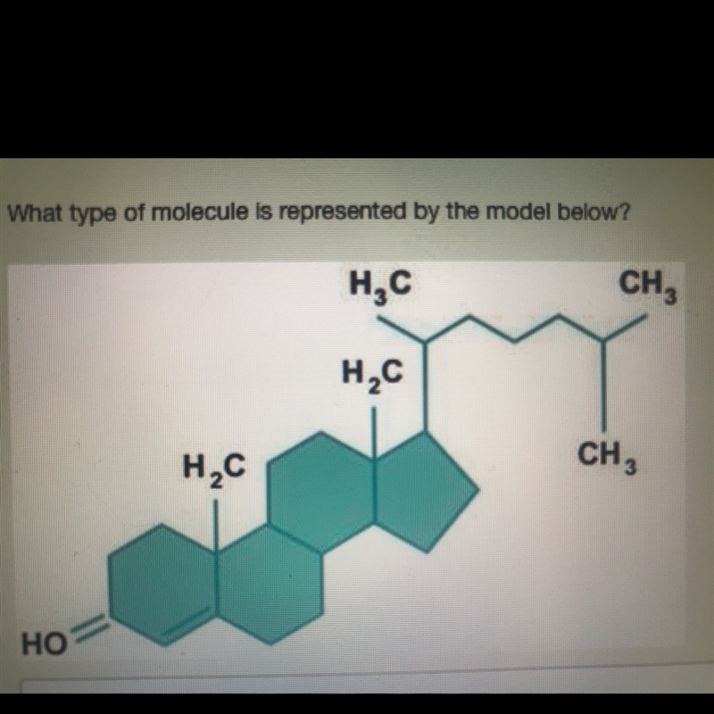 What type of molecule is represented by the model below? A : fat B : carbohydrate-example-1