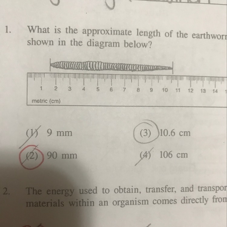 Why is 2 correct for #1 NEED ANSWER ASAP-example-1