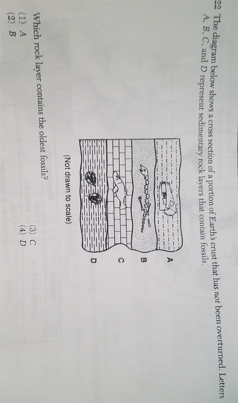 Which rock layer contains the oldest fossils? 1. A 2. B 3. C 4. D-example-1