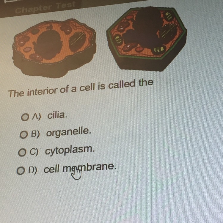 The interior of a cell is called to the ?-example-1