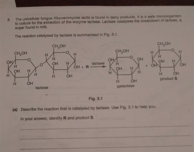 What would be correct?-example-1