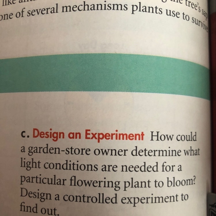 Need help with c!! Thank you :)-example-1