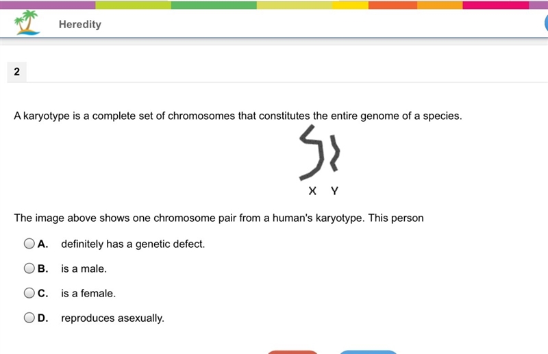 The image above shows one chromosome pair from a human's karyotype. This person-example-1