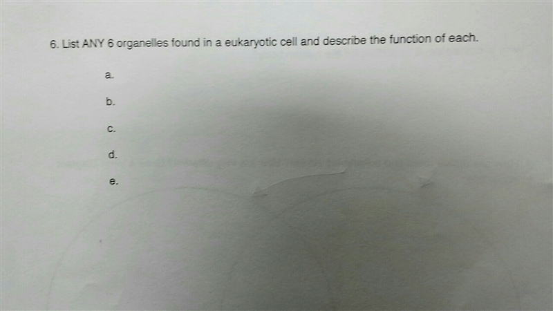 Can someone help me with this? My teacher just gives us papers to full out and doesn-example-1