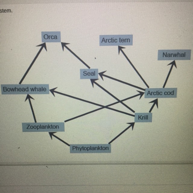 The image shows a food web in an Arctic ecosystem. Rising temperatures in the Arctic-example-1