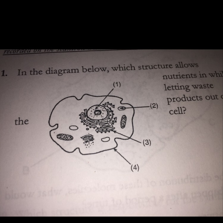 What is the answer ? Explain why please !!-example-1