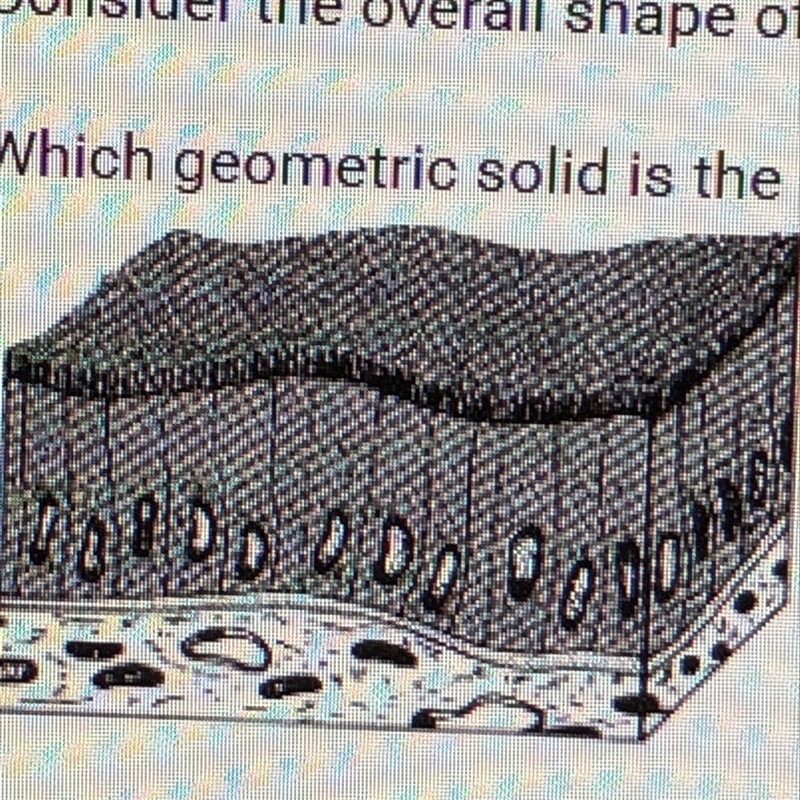 Which geometric solid is the best model for these cells?-example-1