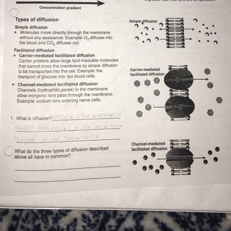 What is the answer to number 2? Please help! :)-example-1