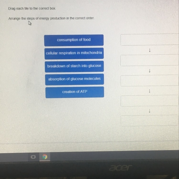 Arrange the steps of energy production in the correct order.-example-1