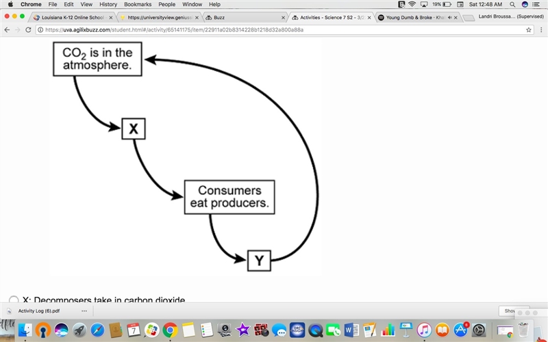 . Rosa drew a flow chart of the carbon cycle.Which labels best complete the flow chart-example-1