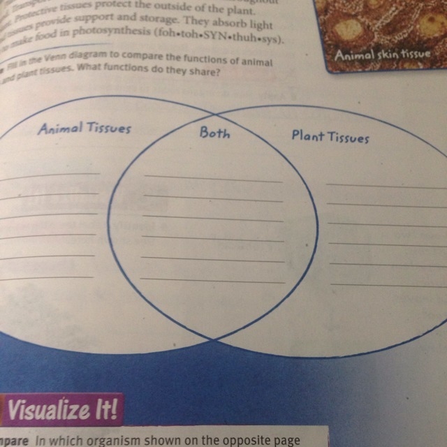 Please help with this vein diagram-example-1