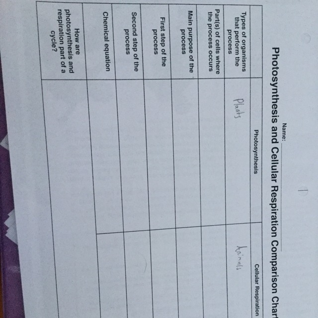 I need some help with “Main purpose of process”-example-1