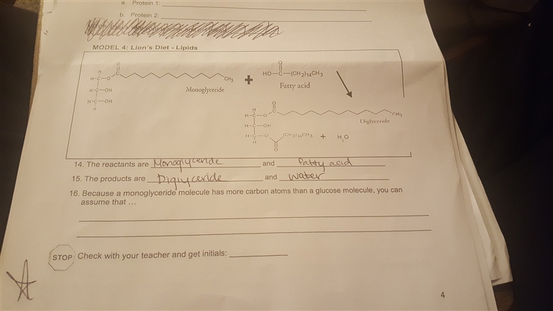 because a monoglyceride molecule has more carbon atoms than a glucose molecule, you-example-1