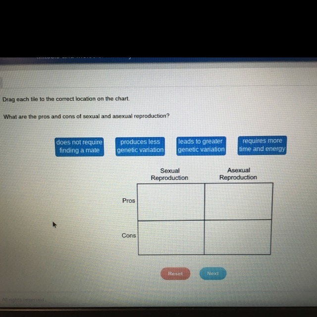 Drag each tile to the correct location on the chart. What are the pros and cons of-example-1