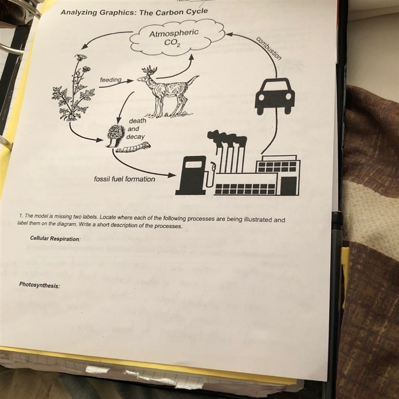 Carbon cycle Can you guys help me please In Cellular respiration and photosynthesis-example-1