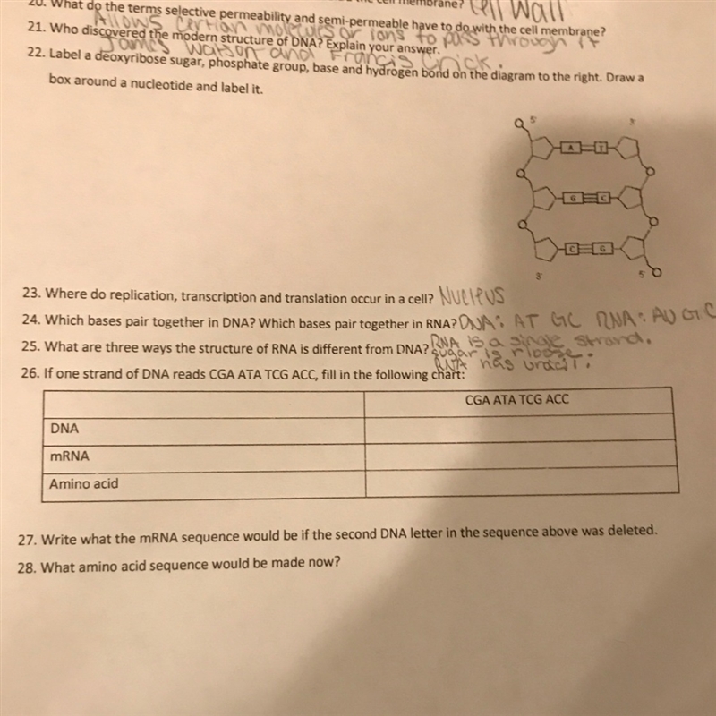 I need help with number 26, 27, and 28.-example-1