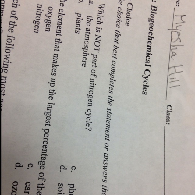 Which one not part of nitrogen cycle ?-example-1