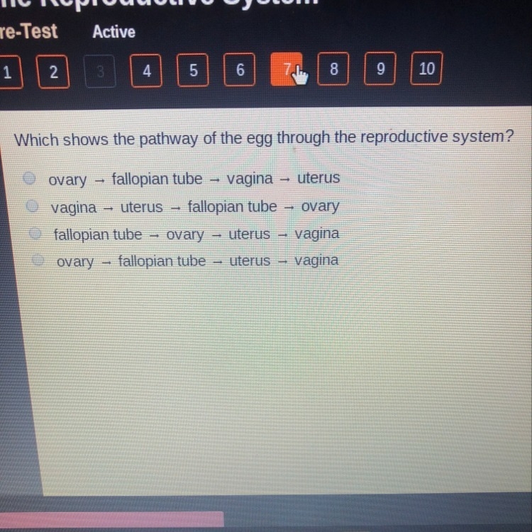 What shows the pathway of the egg through the reproductive system?-example-1