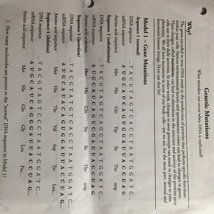 How many nucleotides are present in the “normal” DNA sequence in Model 1?-example-1