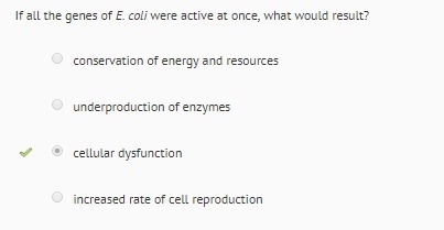 If all the genes of E.coli were active at once what would result. A). Conservation-example-1