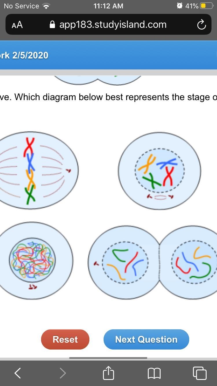 What stage of mitosis is shown in the drawing above?-example-1