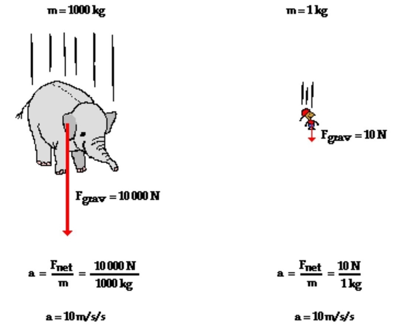 Why do objects fall to the ground at the same rate-example-1